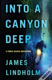 Capa do artigo Into A Canyon Deep