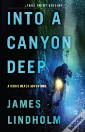 Capa do artigo Into A Canyon Deep