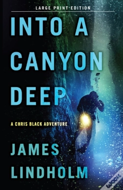 Capa do artigo Into A Canyon Deep