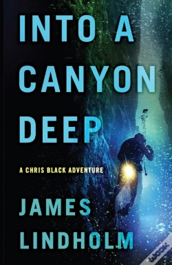 Capa do artigo Into A Canyon Deep
