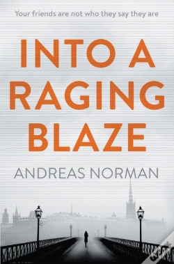Capa do artigo Into A Raging Blaze
