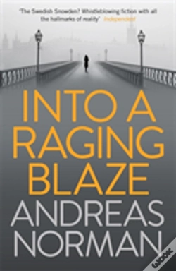 Capa do artigo Into A Raging Blaze