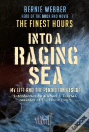 Capa do artigo Into A Raging Sea