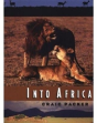 Into Africa - Preview