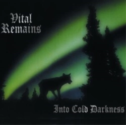 Capa do artigo Into Cold Darkness - Vinil