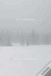 Capa do artigo Into Daylight