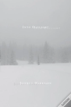 Capa do artigo Into Daylight