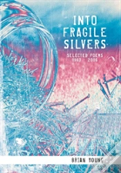 Capa do artigo Into Fragile Silvers