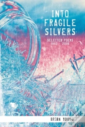 Capa do artigo Into Fragile Silvers
