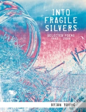 Capa do artigo Into Fragile Silvers: Selected Poems 1983  2006