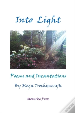 Capa do artigo Into Light