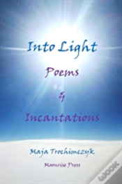 Capa do artigo Into Light