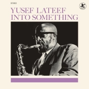 Capa do artigo Into Something - Vinil