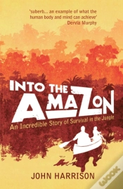 Capa do artigo Into The Amazon