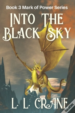 Capa do artigo Into The Black Sky