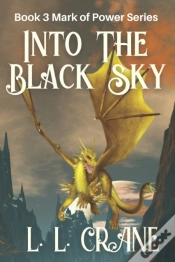 Capa do artigo Into The Black Sky