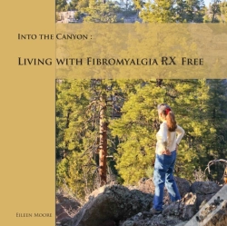 Capa do artigo Into The Canyon