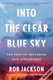 Capa do artigo Into The Clear Blue Sky
