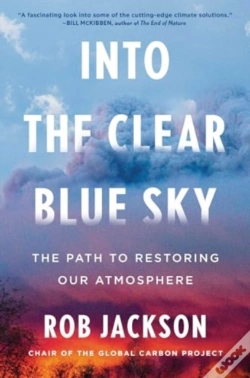 Capa do artigo Into The Clear Blue Sky
