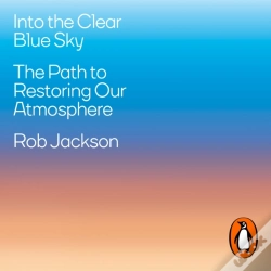 Capa do artigo Into The Clear Blue Sky