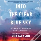 Capa do artigo Into The Clear Blue Sky