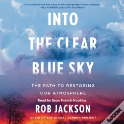 Capa do artigo Into The Clear Blue Sky