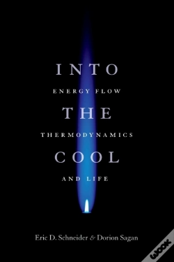 Capa do artigo Into The Cool