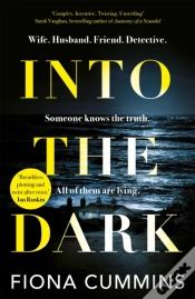 Capa do artigo Into The Dark