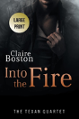Into The Fire - Preview