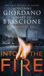 Into The Fire - Preview