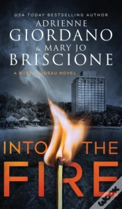 Capa do artigo Into The Fire
