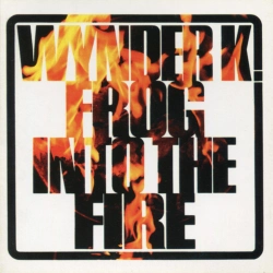 Capa do artigo Into The Fire - CD