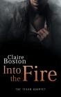Into The Fire - Preview