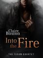 Into The Fire - Preview