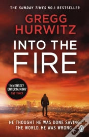 Capa do artigo Into The Fire