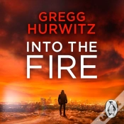 Capa do artigo Into The Fire