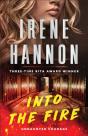 Into The Fire - Preview