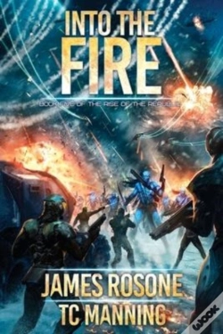Capa do artigo Into The Fire