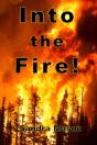 Into The Fire! - Preview