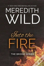 Capa do artigo Into The Fire