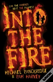 Capa do artigo Into The Fire