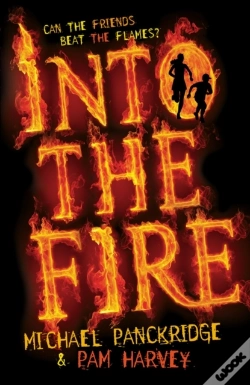 Capa do artigo Into The Fire