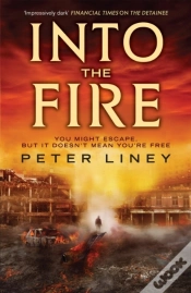Capa do artigo Into The Fire