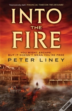 Capa do artigo Into The Fire
