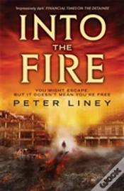 Capa do artigo Into The Fire