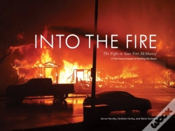 Capa do artigo Into The Fire