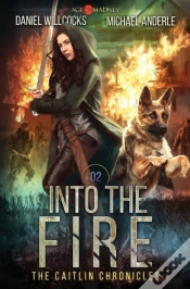 Capa do artigo Into The Fire