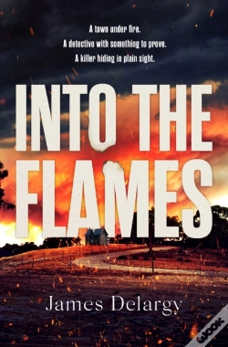 Capa do artigo Into The Flames