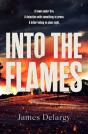 Into The Flames - Preview