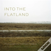 Capa do artigo Into The Flatland